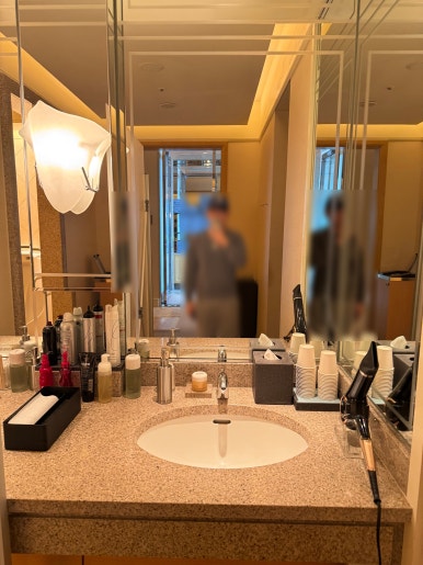 [The Ritz-Carlton, Tokyo] The Standard for a Classic High-End Hotel. A review of a Roppongi hotel with a great skyline view from the window, plus the pool, lounge, and more. image 34