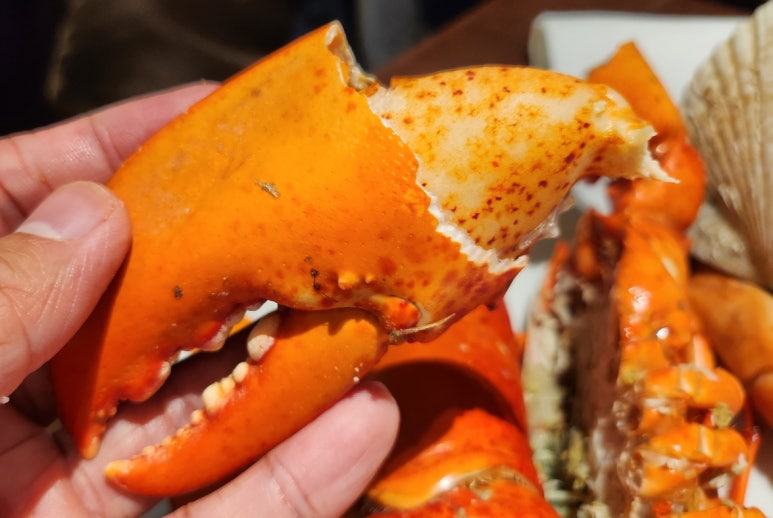 [웨스틴 조선 서울] 아리아 - 라세느와 비교해보자. 조선호텔 플래티넘 멤버십. 발렛파킹. 상품권결제. 메뉴. 꿀팁. 관련 이미지 11