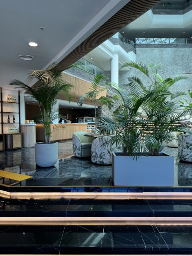 그랜드 조선 제주 - 클럽조선 골드 관련 이미지 14