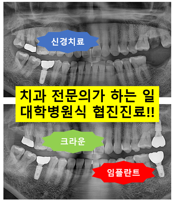 치과 전문의가 하는 일 - 치주과, 치과보존과, 치과보철과, 치과교정과 전문의가 있는 치과. 관련 이미지 1