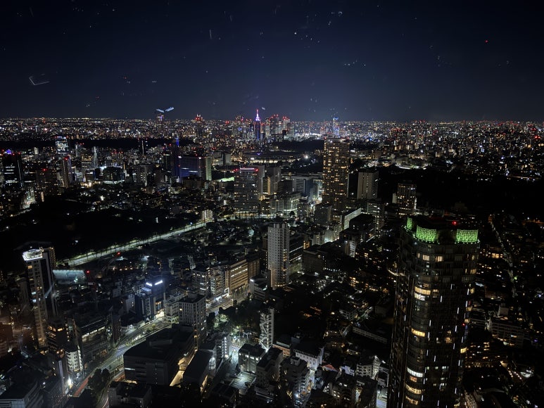[The Ritz-Carlton, Tokyo] The Standard for a Classic High-End Hotel. A review of a Roppongi hotel with a great skyline view from the window, plus the pool, lounge, and more. image 18