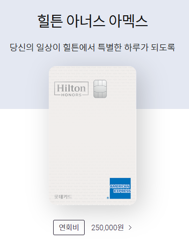 [롯데카드 힐튼 아멕스] 신한카드 메리어트 본보이 더베스트와 비교. 1월 이벤트와 분석. 공항라운지 동반자 가능. 관련 이미지 2