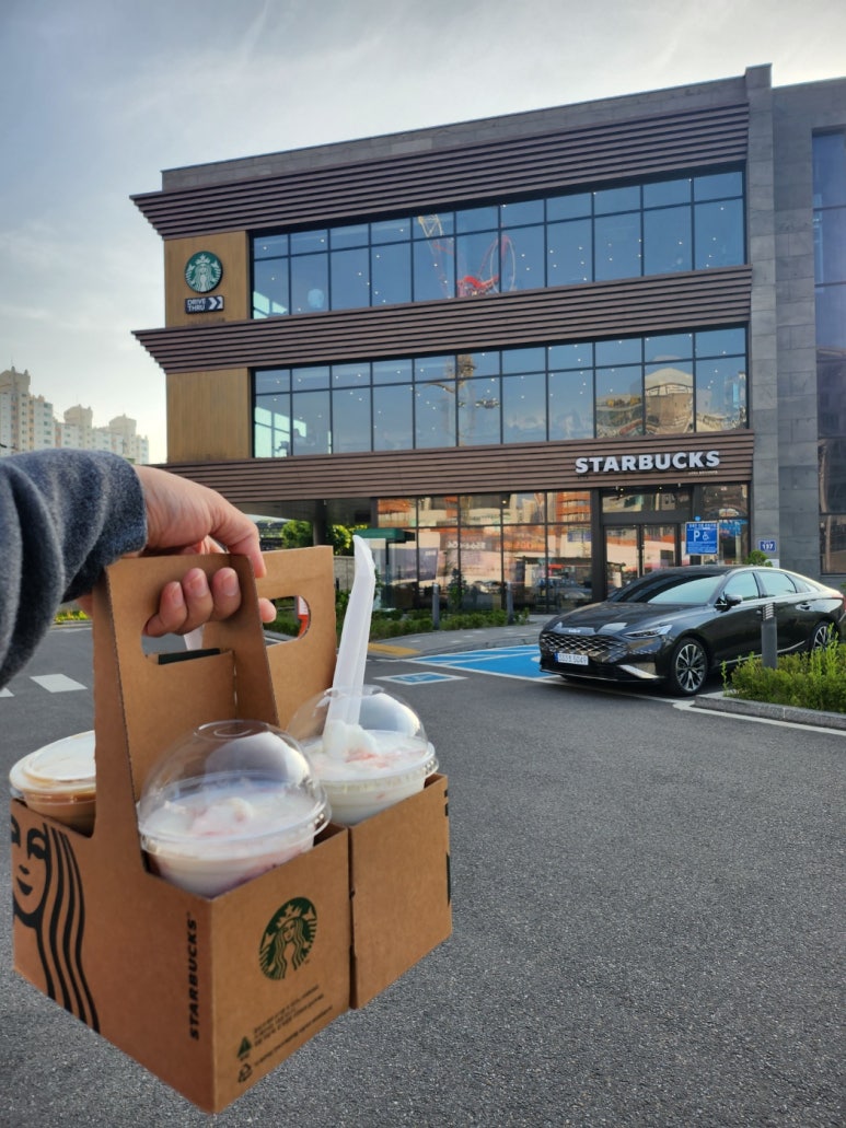 연세라곰치과 - 치과의사 국가고시 수석 출신 교정과 원장님이 직접 진료하는 풍무동 치과 추천! 관련 이미지 2