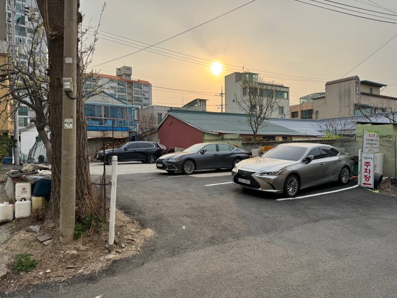 [속초 맛집] 속초생대구 - 수요미식회 블루리본서베이 11개 생대구 & 생대구전 동명항 주차가능 맛집. 관련 이미지 7