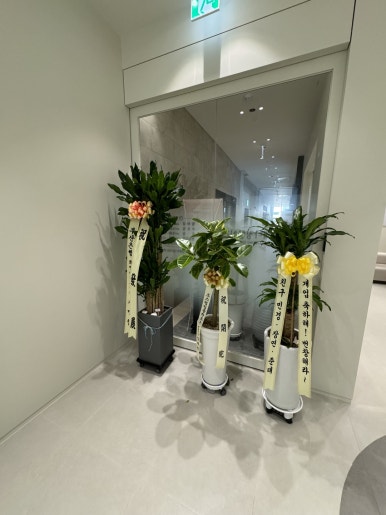 연세다정한치과 - 교정의 달인 대표원장님이 일요일까지 직접 진료하는 청량리역 치과 추천! 개원 이벤트 살펴보기. 관련 이미지 9