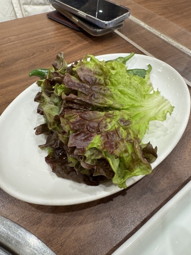 [을지로 맛집] 우래옥 - 소고기 등심, 갈비 맛있었던 후기. 한우 장국밥 +김치, 깍두기 존맛.. 관련 이미지 14