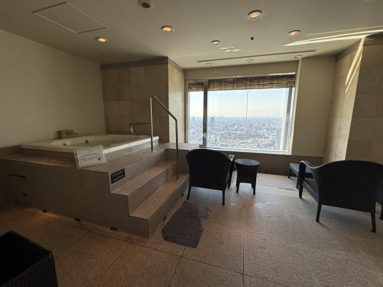 [The Ritz-Carlton, Tokyo] The Standard for a Classic High-End Hotel. A review of a Roppongi hotel with a great skyline view from the window, plus the pool, lounge, and more. image 38