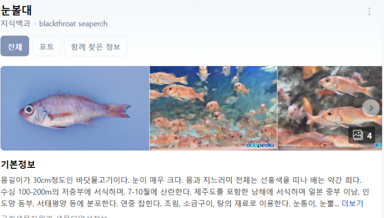 [웨스틴 조선 서울] 스시조 - 미쉐린 디너 오마카세. 34만원. 라운지 애플망고빙수. 조선호텔 플래티넘 멤버십. 발렛파킹. 상품권결제팁. 관련 이미지 23