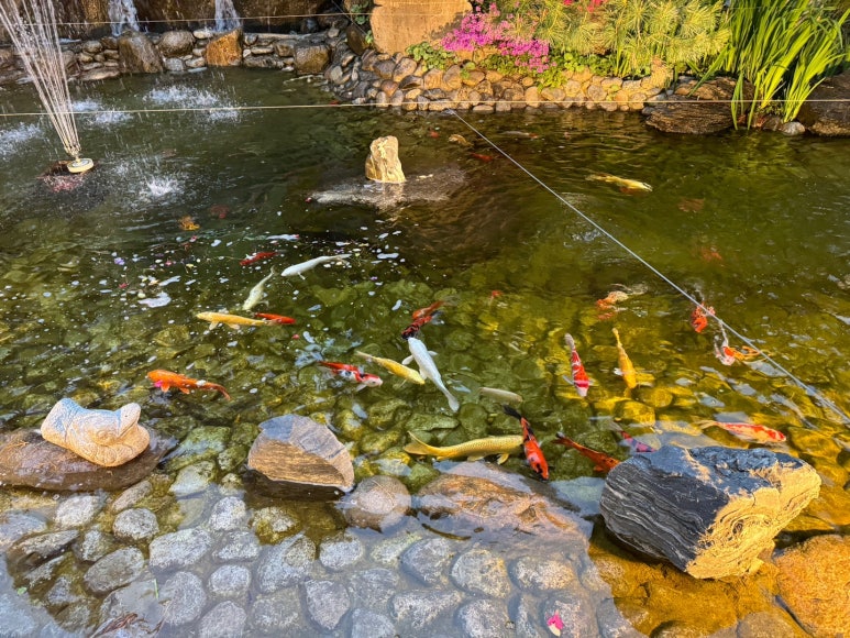 [2024 다인힐 위크] 삼원가든 - 50% 할인. 미쉐린가이드 한우 양념갈비, 소고기 구이, 물냉면 맛집. 압구정 최고의 가족모임. 발렛가능. 관련 이미지 10