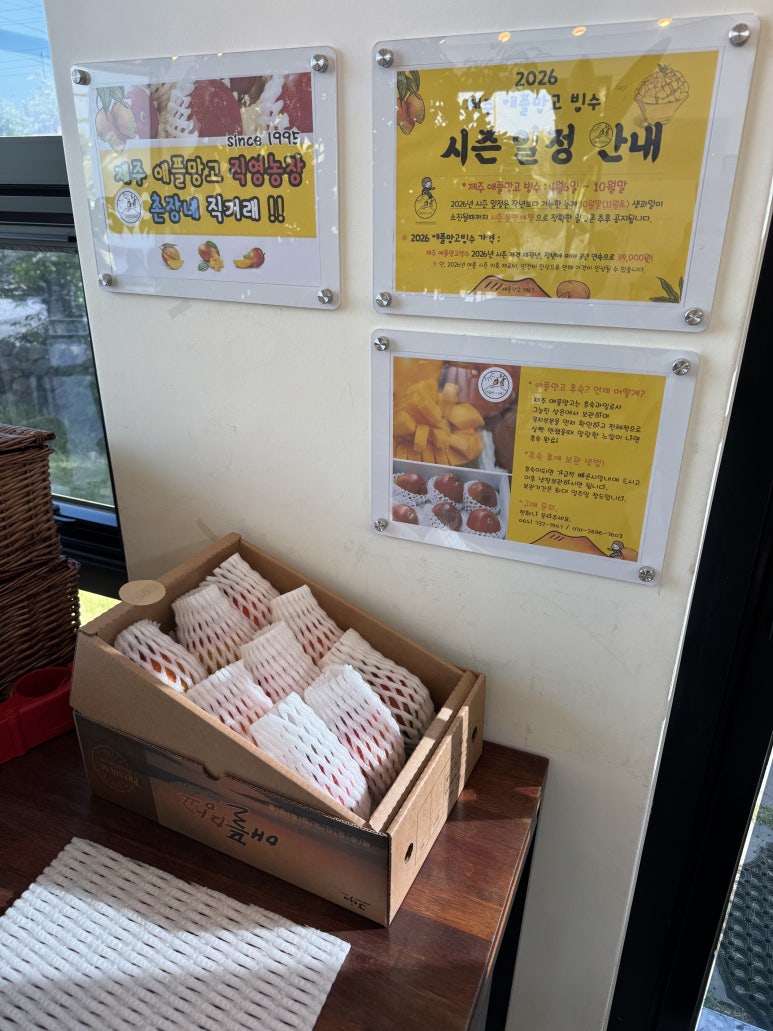 제주도 애플망고 맛집 : 애플망고랩 vs 애플망고1947 관련 이미지 19