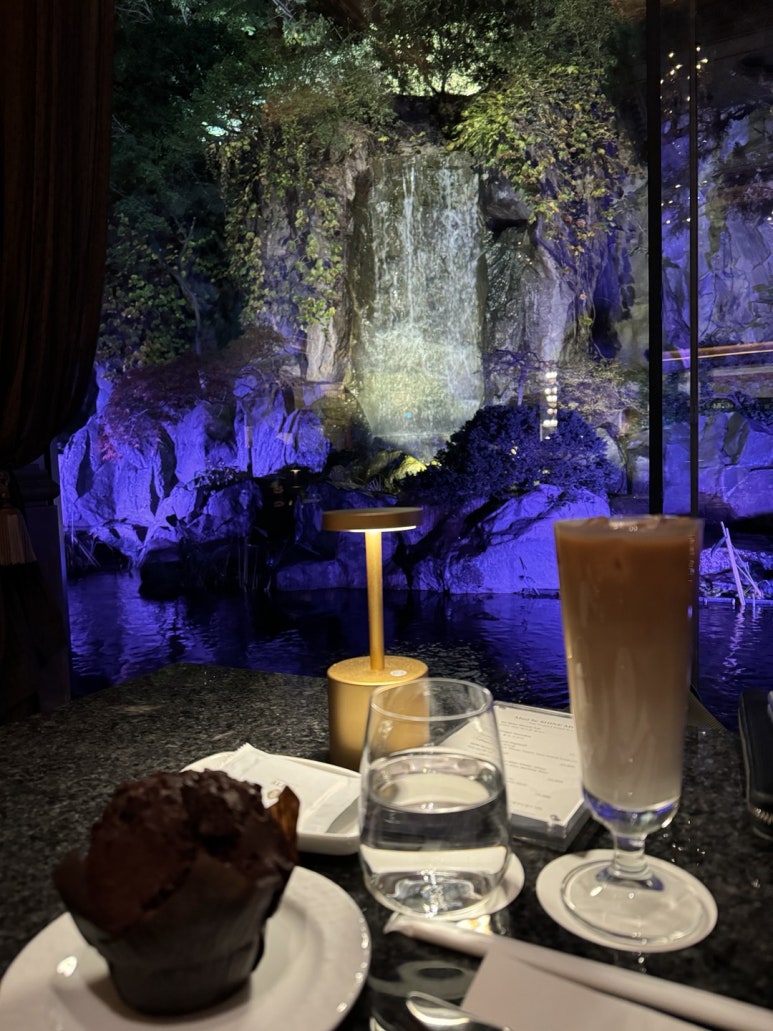 [롯데호텔서울 맛집] 도림 - 짬뽕과 짜장면 맛집. 탕수육과 유린기는 어땠을까. 트레비클럽후기. 롯데다이아몬드카드 라운지. 발렛주차. 관련 이미지 28