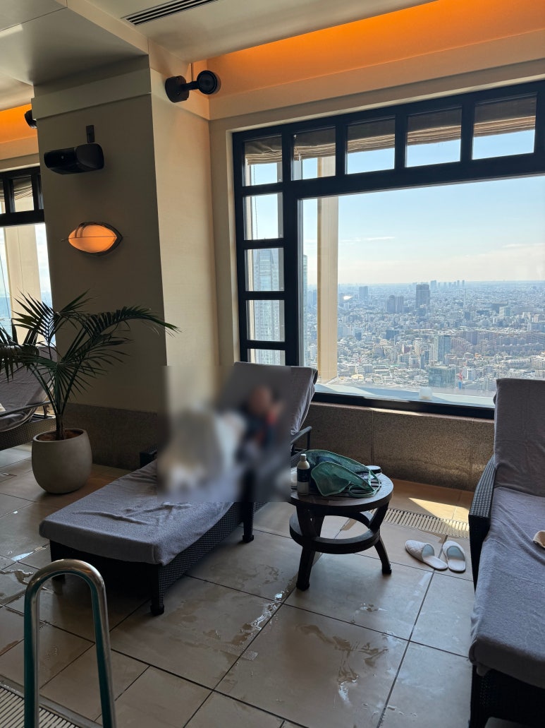 [The Ritz-Carlton, Tokyo] The Standard for a Classic High-End Hotel. A review of a Roppongi hotel with a great skyline view from the window, plus the pool, lounge, and more. image 41