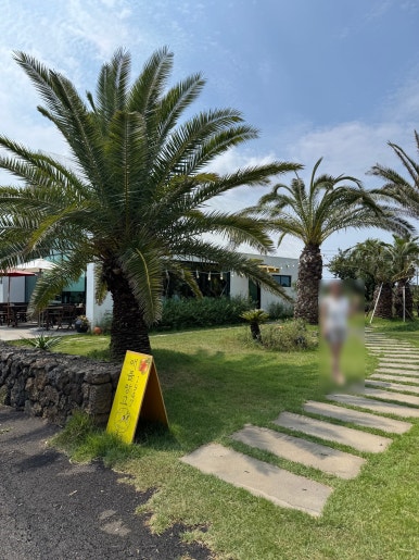 [제주 서귀포 카페] 애플망고1947 -  맛있는 제주애플망고빙수 찾는 비법은 바로 망고깍둑썰기. 망고빙수 성지 내돈내산 후기. 관련 이미지 4