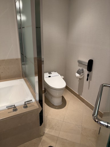 [The Ritz-Carlton, Tokyo] The Standard for a Classic High-End Hotel. A review of a Roppongi hotel with a great skyline view from the window, plus the pool, lounge, and more. image 26