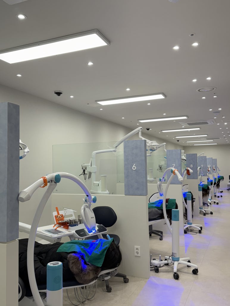 치아미백 성지 : 전국1등 레브치과 (월 2000건 시술) 관련 이미지 4