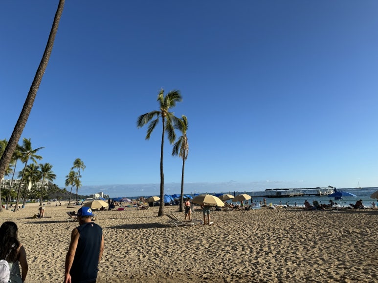 힐튼 하와이안 빌리지 와이키키 비치 리조트의 모든 것. 현아플 포인트숙박, 힐튼 아너스 골드, 룸 업그레이드, 크레딧, 라군, 불꽃놀이 등. 관련 이미지 15