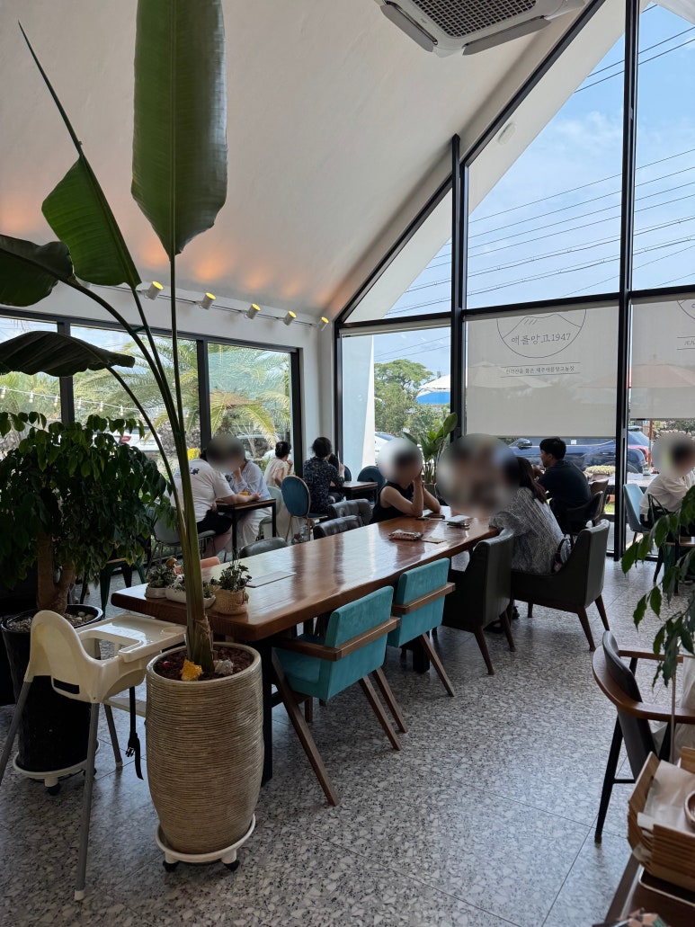 [제주 서귀포 카페] 애플망고1947 -  맛있는 제주애플망고빙수 찾는 비법은 바로 망고깍둑썰기. 망고빙수 성지 내돈내산 후기. 관련 이미지 7