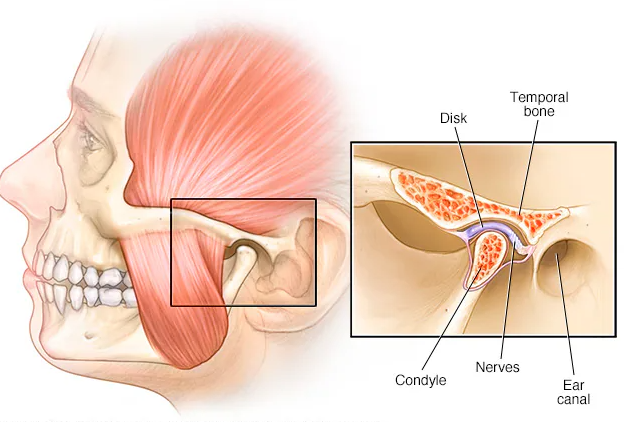 이갈이보톡스를 치과에서 치료받아야 하는 이유. 코어톡스 가격 주기 부작용 정보. 관련 이미지 6