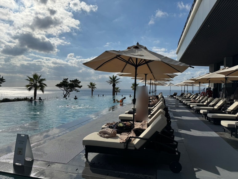 현대카드 호텔위크07 - 파르나스 호텔 제주 디럭스 킹 후기. 콘페티 조식과 중식 비교. 제주 최고의 풀장 인피니티풀 낮과 야경! (1) 관련 이미지 36