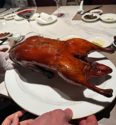 [조선팰리스 맛집] 더그레이트 홍연 - 최고의 북경오리 맛집. 유유안, 쥬에와 비교! 역삼역 가족모임 장소추천. 클럽조선 멤버십 활용하기. 관련 이미지 1