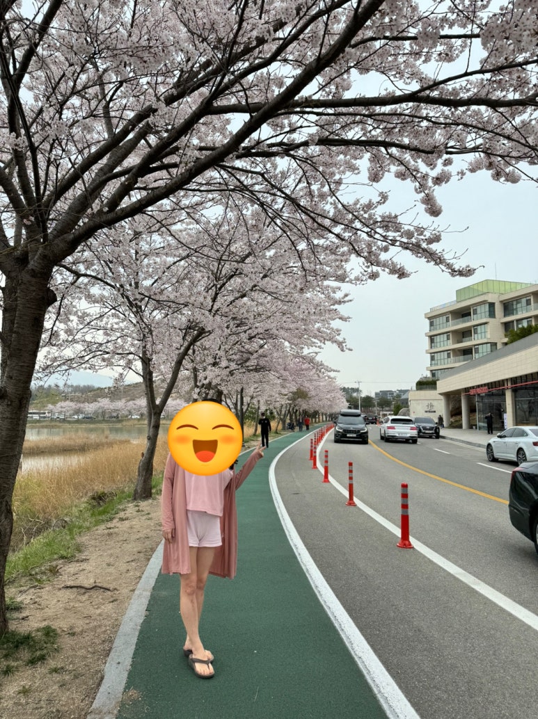 [속초 맛집] 초당순두부 - 인심 좋은 사장님의 황태해장국 정식과 감자전! 설악 쏘라노 맛집. 관련 이미지 19