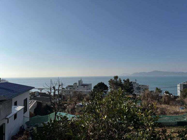 [해운대 맛집] 해운대기와집대구탕 - 대구탕의 정석. 현지인 연예인 맛집. 관련 이미지 16
