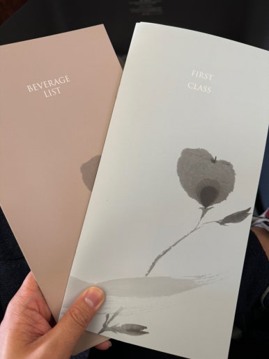 Korean Air First Class vs. Prestige Class – KE907 and KE908 Incheon–London B777-300ER Booking, Seat Recommendations, First Lounge, and SkyTeam Mileage Flight Review image 37