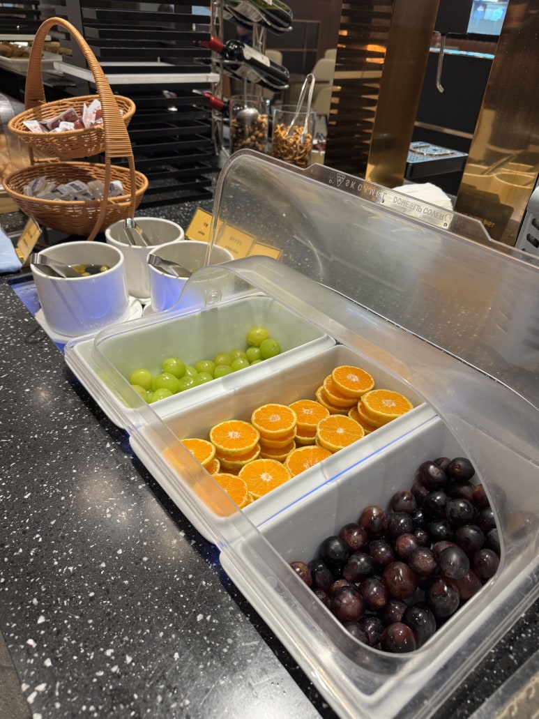 마티나골드 라운지 - 메뉴, 제휴 신용카드 정리. 동반 2인 3인 입장해보기. (Feat. 만원의 행복, 국민 헤리티지 스마트/리저브) 관련 이미지 27