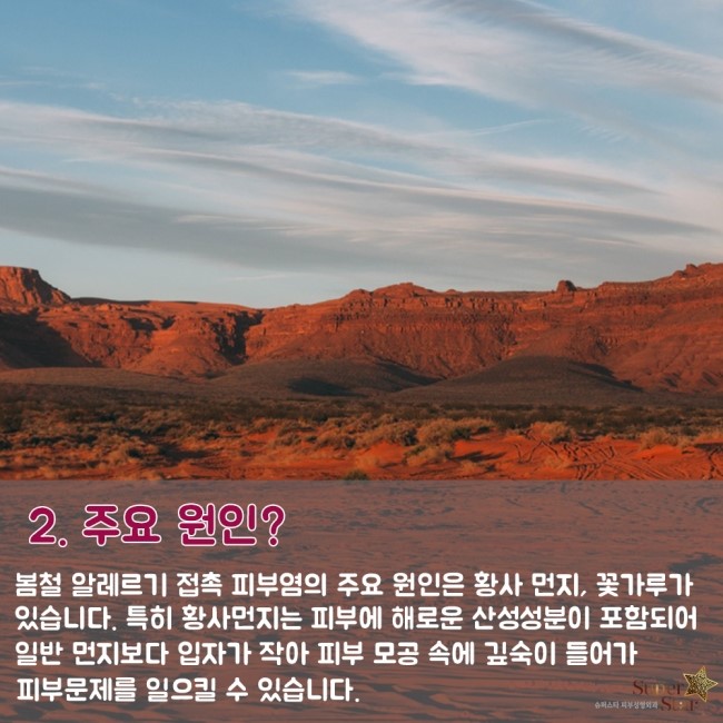 [구로피부과]슈퍼스타피부과가 알려주는 봄철 알레르기의 진실! 원인과 예방법 알려드려요~ 관련 이미지 3