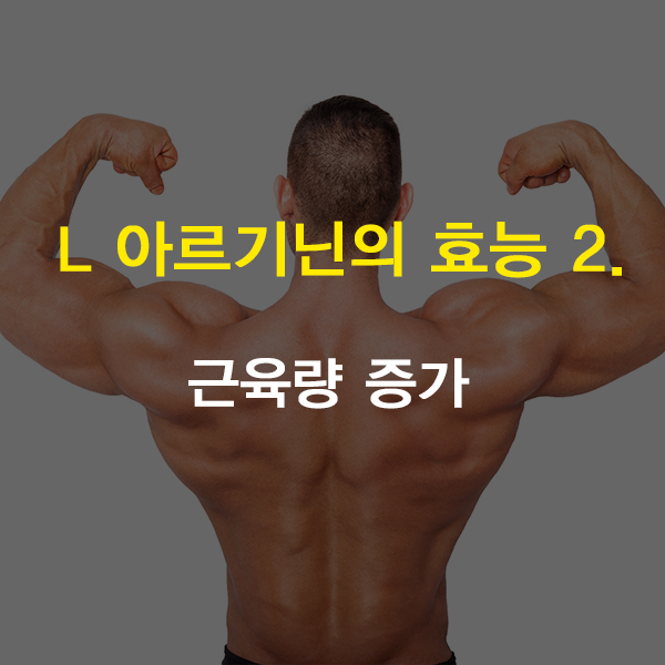 L 아르기닌 주사 효능 by 구로디지털단지역 슈퍼스타피부과 관련 이미지 4