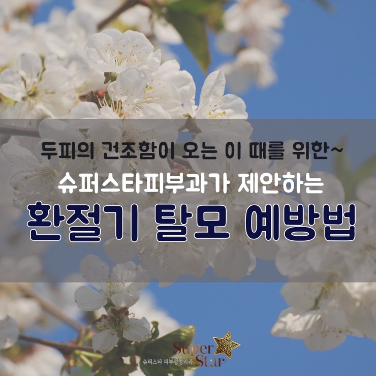 [구로피부과전문의]슈퍼스타 피부과가 제안하는 탈모상식! 환절기 탈모 예방의 모든것! 관련 이미지 1