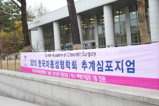 [한국미용성형학회주최]2015한국미용성형학회 추계심포지엄~ 슈퍼스타피부과&성형외과 안성형이사 김세중원장님의 강연현장!! 관련 이미지 3