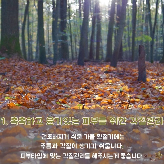 [구로피부과전문의] 건조함과의 전쟁!!슈퍼스타가 제안하는 가을철 피부관리 Tip!! 관련 이미지 2