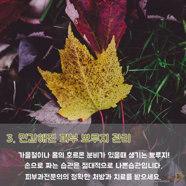[구로피부과전문의] 건조함과의 전쟁!!슈퍼스타가 제안하는 가을철 피부관리 Tip!! 관련 이미지 7
