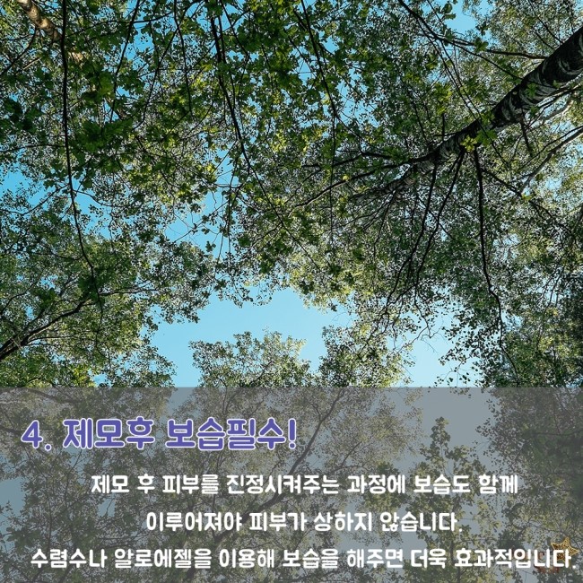 [구로피부과전문의] 슈퍼스타가 제안하는 레이져제모후 관리Tip!!~ 관련 이미지 5