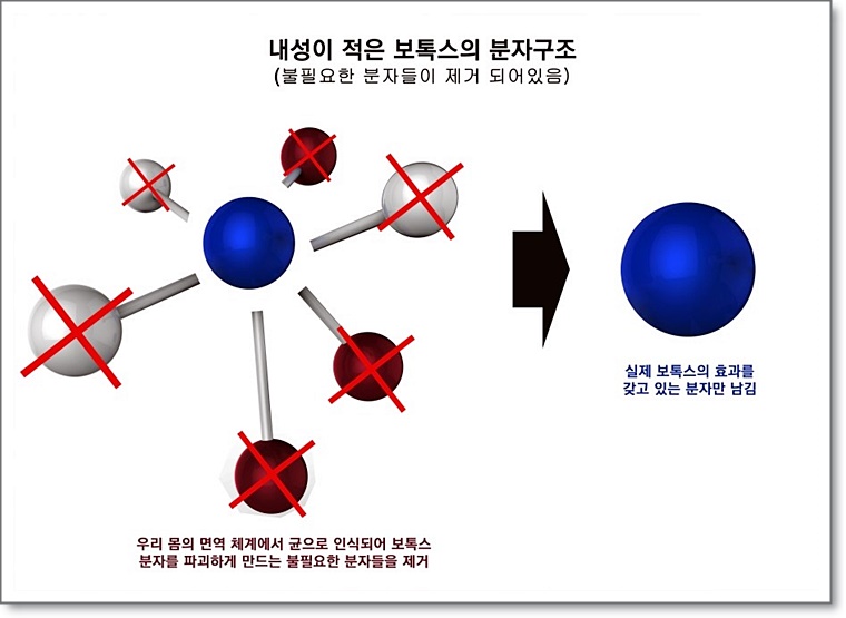 구로디지털단지피부과 내성걱정없는 보톡스 코어톡스런칭!! 제오민만 찾지마세요 관련 이미지 3