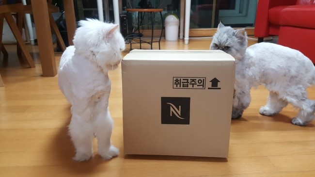 네스프레소 베리에이션 비엔나 디저트 캡슐 구입했어요^^ 관련 이미지 4
