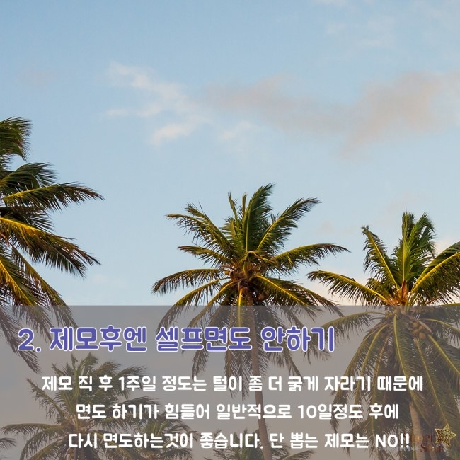 [구로피부과전문의] 슈퍼스타가 제안하는 레이져제모후 관리Tip!!~ 관련 이미지 3