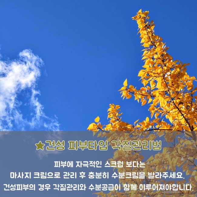 [구로피부과전문의] 건조함과의 전쟁!!슈퍼스타가 제안하는 가을철 피부관리 Tip!! 관련 이미지 3