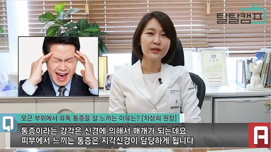 [구로피부과전문의]슈퍼스타피부과 피부과전문의가 제안하는 탈모 TIP~ 탈탈캠프 모근주위 통증 관련 인터뷰! 관련 이미지 2