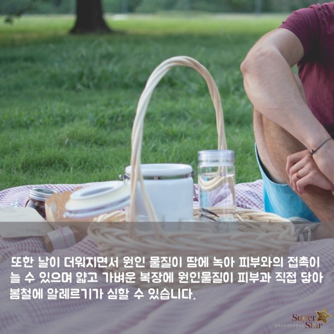 [구로피부과]슈퍼스타피부과가 알려주는 봄철 알레르기의 진실! 원인과 예방법 알려드려요~ 관련 이미지 4