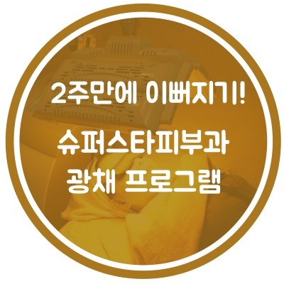 [구로디지털단지피부과]슈퍼스타피부과 힐링이벤트~반짝반짝광채프로그램! EVENT4. 2주 집중 광채프로그램~ 주목!! 관련 이미지 3