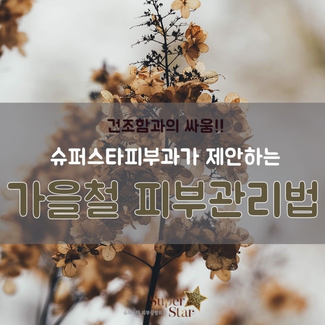 [구로피부과전문의] 건조함과의 전쟁!!슈퍼스타가 제안하는 가을철 피부관리 Tip!! 관련 이미지 1