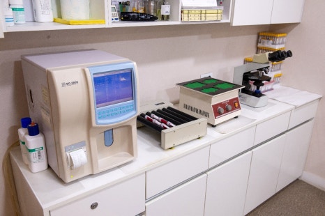 소아아토피 치료 병원, 만성으로 이어지지 않기 위해 기억해야 할 핵심 관련 이미지 4