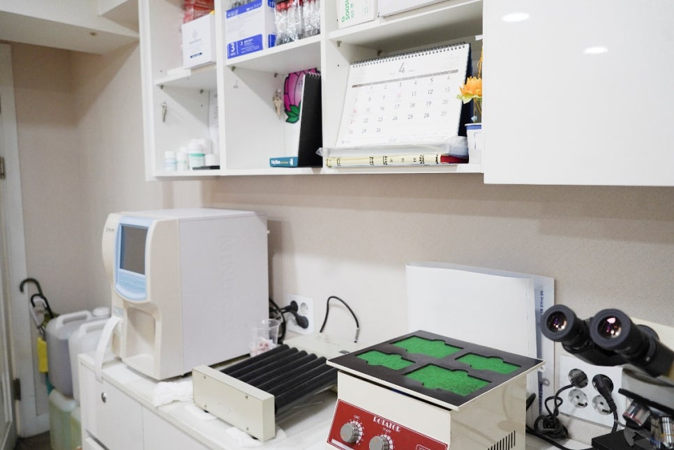 영등포구청피부과 성인 아토피 치료 방법을 찾고 계시다면? <필독> 관련 이미지 12