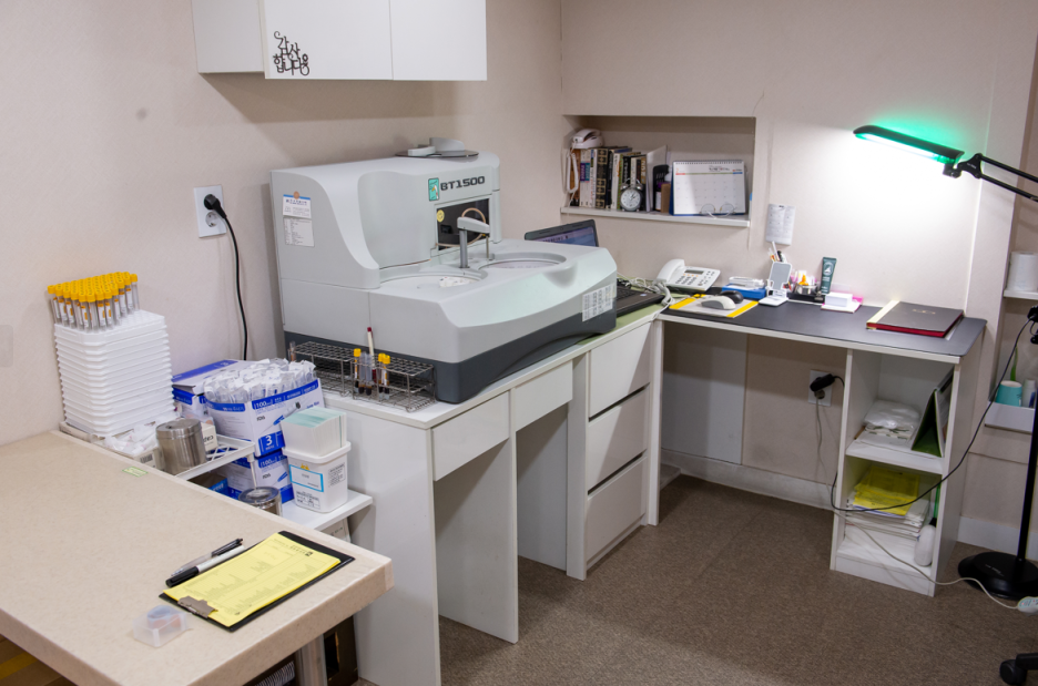 양평역피부과 추천, 제모후모낭염? 조기 치료가 중요한 이유 관련 이미지 3