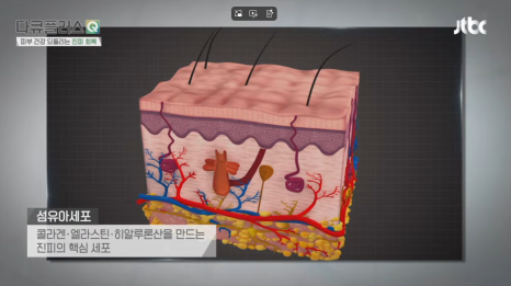 피부 콜라겐 감소와 피부 질환의 연관성에 대해서 계피부과 김신한 원장 방송 출연 (JTBC 다큐플러스Q) 관련 이미지 4