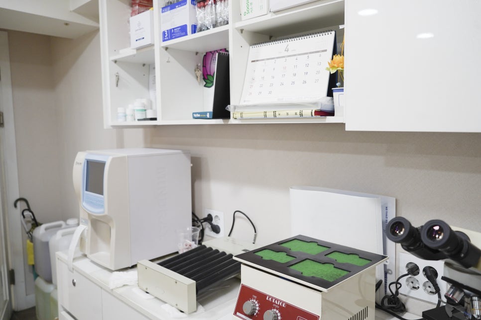 건선 연고 치료, 병원에서 알려주는 올바른 사용법 관련 이미지 3