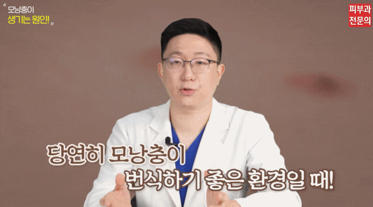 모낭충 피부질환 관리방법? 이것만 기억하세요. (여의나루역피부과 전문의 작성) 관련 이미지 5
