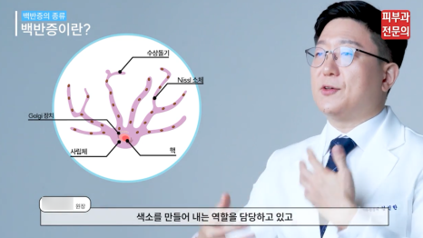 백반증자외선치료, 영등포타임스퀘어피부과에서 A to Z로 알려드립니다. 관련 이미지 3